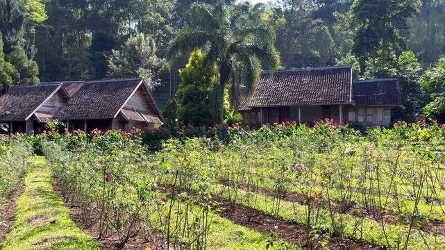 The village resident houses are beautiful and peaceful in Garut city, Indonesia. House in village