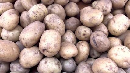 Pile of raw potatoes for sale. Fresh potatoes in grocery store. Fresh vegetables in concept of organic healthy food, vegetarian and diet