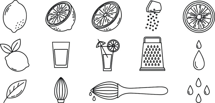 Citrus Fruit Lemon Preparation Tools and Ingredients