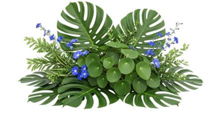 Tropical green plant arrangement with small blue flowers isolated on transparent background