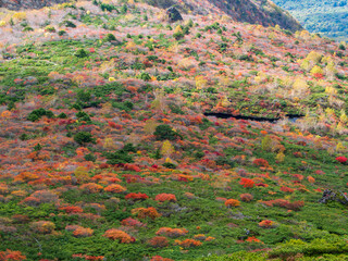 紅葉の那須岳（姥ヶ平）