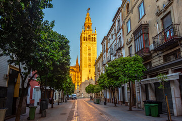 Fototapeta premium Giralda tower of Gothic cathedral and streets of Seville, Spain