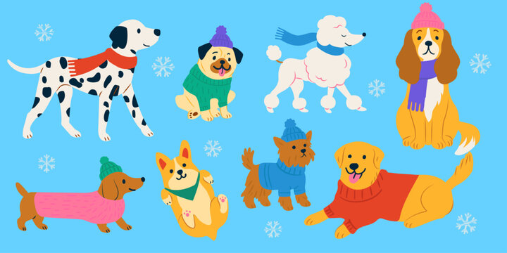 Set of cute winter dogs wearing sweaters, scarves, and hats &mdash; flat vector illustration of cozy pets in cold weather