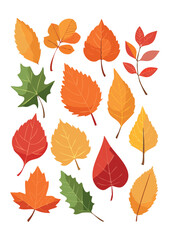 Fototapeta premium A detailed assortment of autumn leaves in warm hues of red, orange, yellow, and green, arranged in a vibrant, symmetrical pattern.