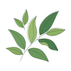 Branch of Green Leaves Minimalist Botanical Line Art Illustration