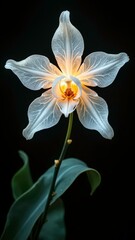 Artistic display of white flowers