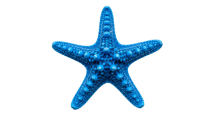 Bright blue starfish isolated on transparent background