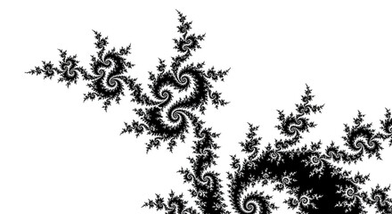 Intricate black fractal pattern resembling a fern or spiral, isolated on white background, showcasing complex mathematical beauty and infinite detail