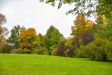 A green meadow stretches toward trees in full autumn color, from green to deep orange. The cloudy sky softens the vibrant tones of the landscape.