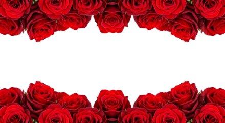 Symmetrical border of red roses isolated on transparent background