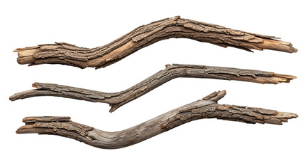Obraz premium Three natural wood branches with textured bark isolated on transparent background