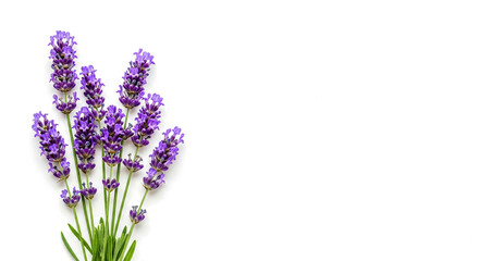 Obraz premium A beautiful bunch of vibrant purple lavender flowers with green stems isolated on transparent background