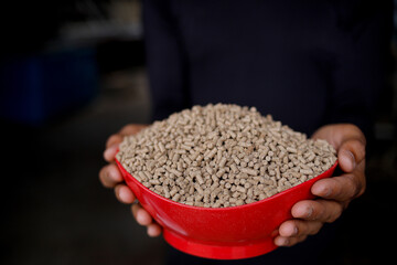Premium Fish Feed Pellets in Hands – Aquaculture Nutrition