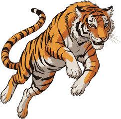 tiger on white background