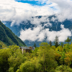 Fototapety na wymiar - Fototapeta24.pl