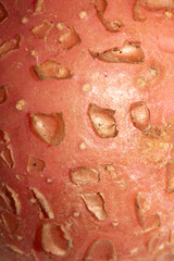 Abstract close up of potato natural vegetable flaky skin
