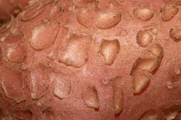 Abstract close up of potato natural vegetable flaky skin