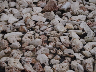 stones on the beach