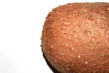 Potato grown in the garden with flaky skin scab fungus natural on white background