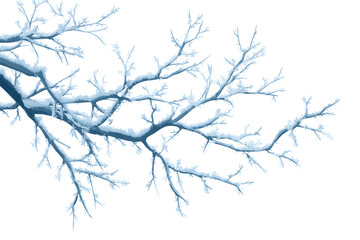 Obraz premium Bare tree branches covered with frost, minimalist winter illustration.