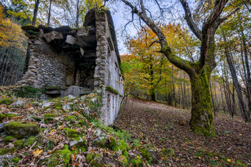 Ruins of a house in the middle of a forest in autumn. An autumnal landscape that demonstrates the blend of nature and history in Friuli Venezia Giulia, Lusevera, Udine, Italy.