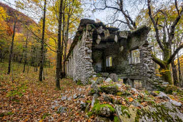 Ruins of a house in the middle of a forest in autumn. An autumnal landscape that demonstrates the blend of nature and history in Friuli Venezia Giulia, Lusevera, Udine, Italy.