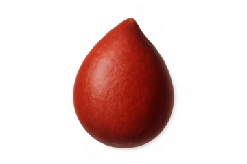 Red blood droplet representing health, donation, blood type, and emergency medical care on transparent background