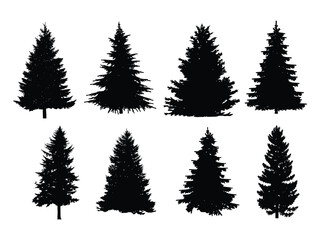 Pine Tree Silhouette Vector Set. Evergreen and Christmas Trees Collection