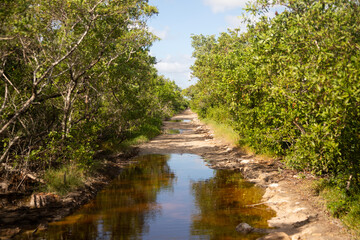 Pov of natural trails  in Río Lagartos Biosphere natural park on Mexico's Yucatan Peninsula.
