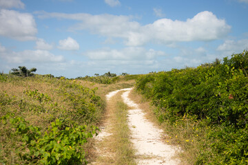 Pov of natural trails  in Río Lagartos Biosphere natural park on Mexico's Yucatan Peninsula.