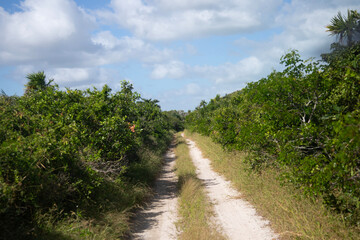 Pov of natural trails  in Río Lagartos Biosphere natural park on Mexico's Yucatan Peninsula.