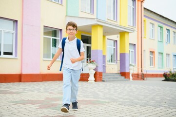 Back to school. Pupil of primary school on the way to study. Little first grader in glasses and...