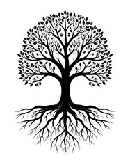 Obraz premium Silhouette of a detailed tree with roots and a leafy canopy