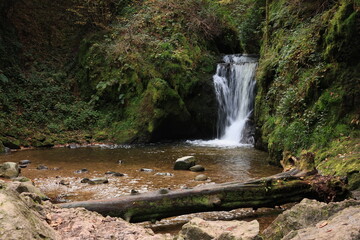 Herbst-Bilder aus dem Nordschwarzwald
