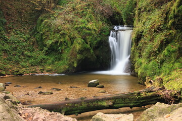 Herbst-Bilder aus dem Nordschwarzwald