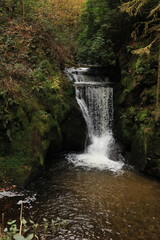 Herbst-Bilder aus dem Nordschwarzwald