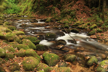 Herbst-Bilder aus dem Nordschwarzwald