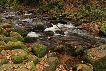 Herbst-Bilder aus dem Nordschwarzwald