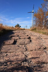 Herbst-Bilder aus dem Nordschwarzwald