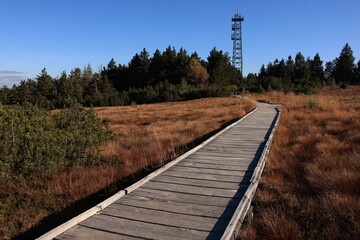 Herbst-Bilder aus dem Nordschwarzwald