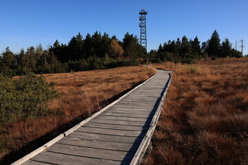 Herbst-Bilder aus dem Nordschwarzwald