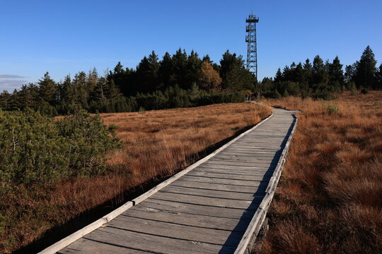 Herbst-Bilder aus dem Nordschwarzwald