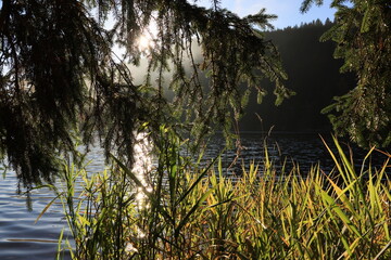 Herbst-Bilder aus dem Nordschwarzwald