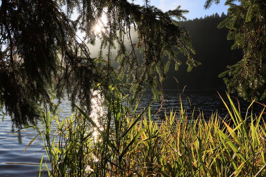 Herbst-Bilder aus dem Nordschwarzwald