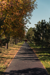 walk in the park
