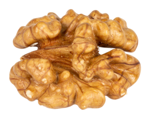 Walnut kernel, a healthy, brain shaped nut, rich in omega 3, offering nutritious benefits and natural food ingredient for snacking and baking