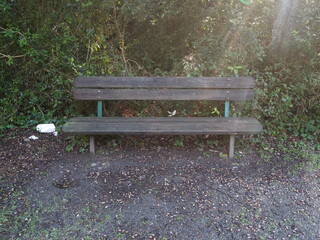bench in the park