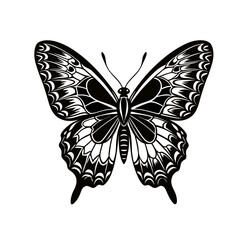 Elegant black butterfly silhouette with intricate wing patterns isolated on white background silhouette