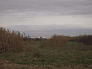 morning on the river

