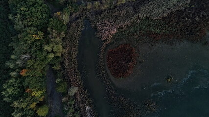 Aerial view of dried Lake and diverse vegetation in Autumn